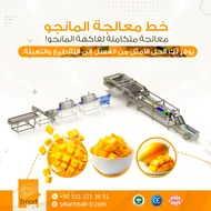خط معلجة المانجو