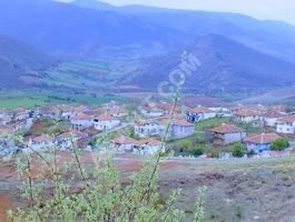 For sale directly from the owner, a special property in the village of Alibağı, Zile Tokat area.