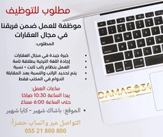 Türkçe'yi akıcı konuşan emlak satış personeli aranıyor