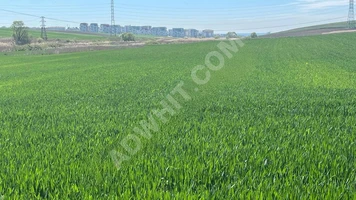 geleceğin fırsatı silivri alipaşa imara sıfır satılık 12,000m2