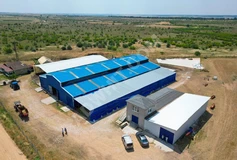 SATILIK HAYVAN TARIM ÇİFTLİĞİ KIRKLARELİ MERKEZ DEĞİRMENCİK K. görsel 3