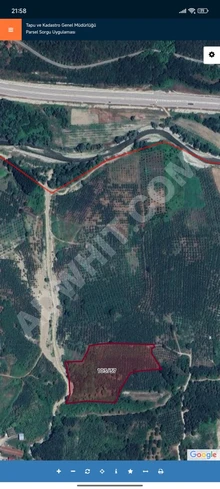 PRATİK&GAYRİMENKUL'DEN SATILIK YATIRIMLIK VERİMLİ FINDIK BAHÇESİ görsel 3