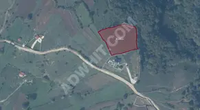 SATILIK 5.367 m² TARLA KOCAELİ KANDIRA AKDURAK MAHALLESİNDE görsel 5