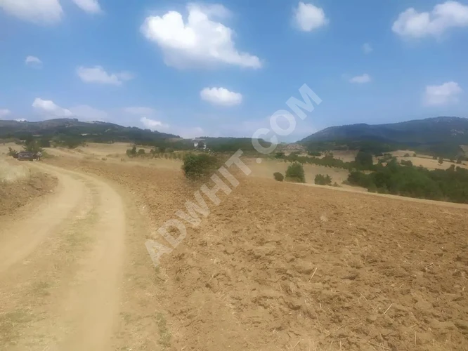 Bursa Yenişehir Selimiye Mahallesi mevki Çimen aldı
