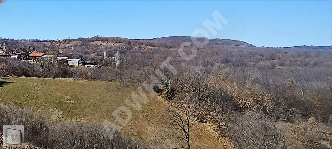 BİLECİK PAZARYERİ BULDUK KÖYÜNDE YATIRIMLIK 7.741 M² TARLA