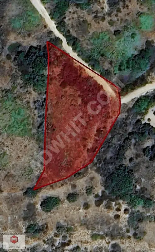 TEKİRDAĞ/ŞARKÖY/HOŞKÖY'DE 2.348 M2 TEK TAPULU YATIRIMLIK BAĞ