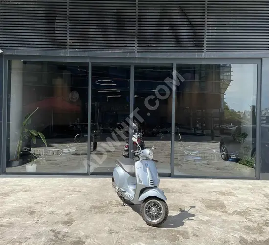 CARAY-2023 MODEL-VESPA PRİMAVERA150S-DIGITAL EKRAN