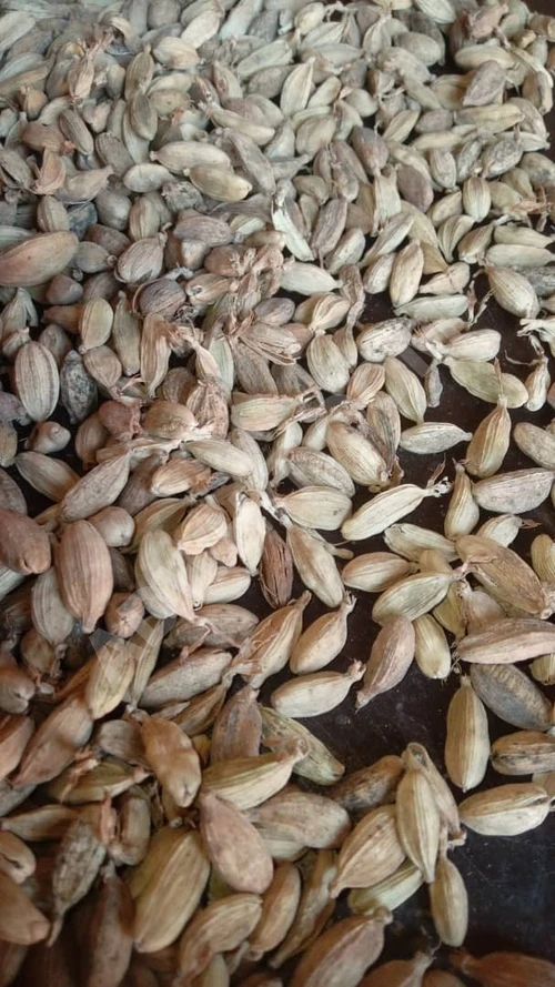 İthal kakule