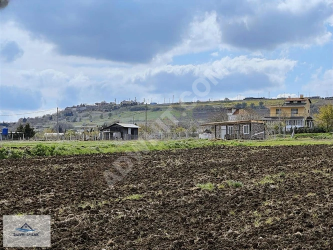 FENERKÖYDE KÖY DİBİNDE TEK TAPU UYGUN FİYAT 2420 M2 TARLA