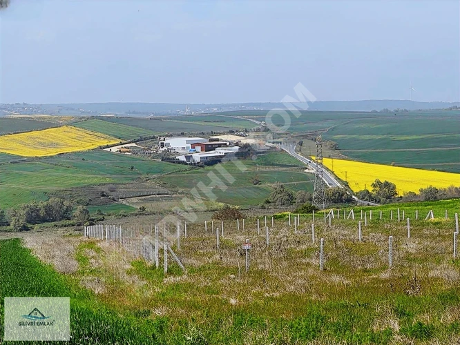 SİLİVRİ FENERKÖYDE MÜSTAKİL TAPU UYGUN FİYAT GÜZEL KONUM 5116 M2