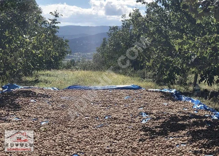 KAZ DAĞLARI ETEĞİNDE 13.244M2 KÖY İÇİ İMARLI UYGUN FİYATLI ARSA