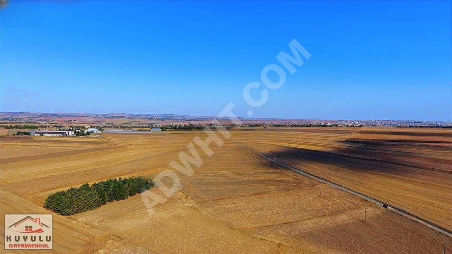 ALİPAŞA İMAR SINIRINA YAKIN UYGUN FİYATA 2.771 M2 SON GÜNLER!