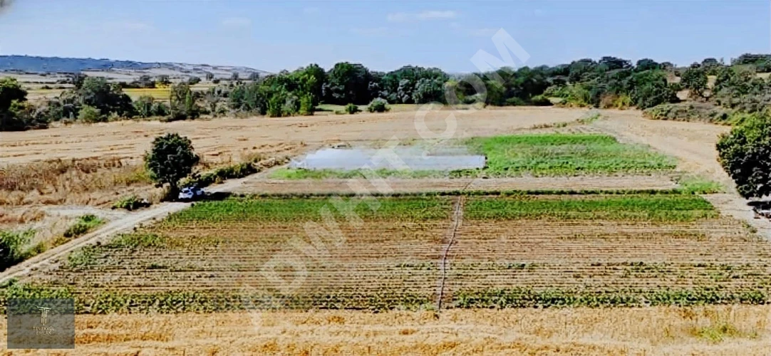 Babaeski Taşağlı'da Sahibinden Kelepir satılık arsa