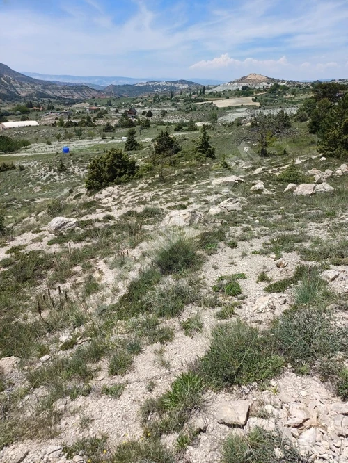 BAĞLUM/ SARI BEYLER / LEZGİ 3127 M2 TEK TAPU