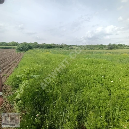 Tekirdağ Marmara Ereğlisi çeşmeli'de deniz manzaralı yerlerimiz