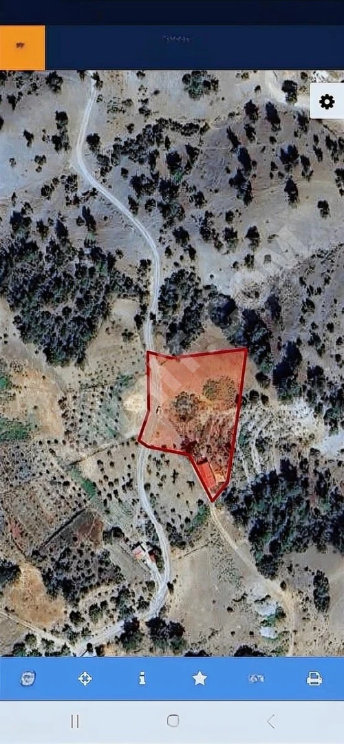 MARAŞ EMLAKTAN SUÇATI -TEKİR ARASI SATILIK TEK TAPU ARAZİ