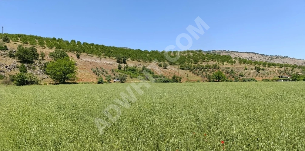 MARAŞ EMLAKTAN SATILIK 3711 METRE KARE TEK TAPU TARLA
