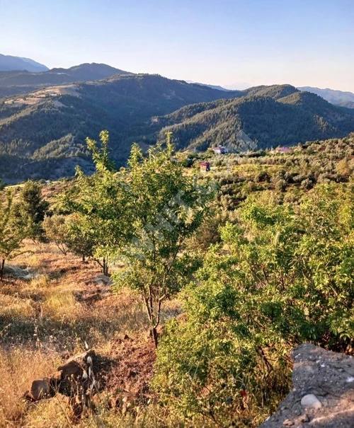MARAŞ EMLAKTAN YENİ YAPAN DA SATILIK TEK TAPU 3772 M2 ARAZİ