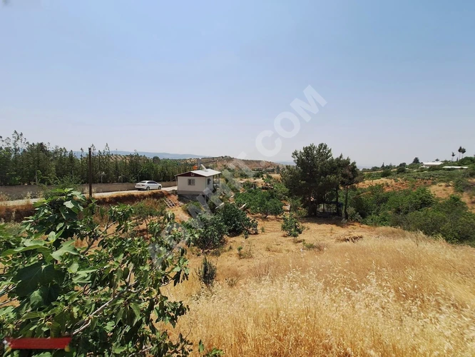 MARAŞ EMLAKTAN YUSUF HACILI DA SATILIK 1 DÖNÜM BAĞ