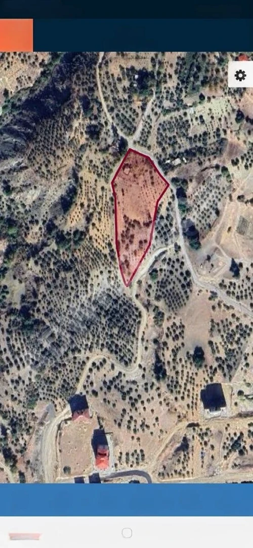 MARAŞ EMLAKTAN DERELİ DE SATILIK 9 DÖNÜM TEK TAPU BAĞ