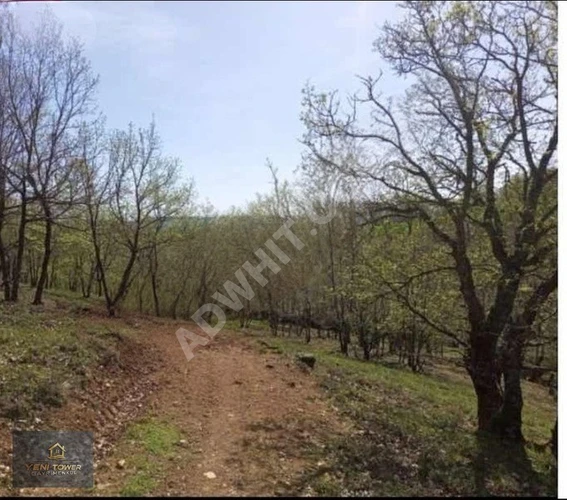 YENİ TOWER'DAN ÇANAKKALE'DE SATILIK 18 DÖNÜM ARAZİ