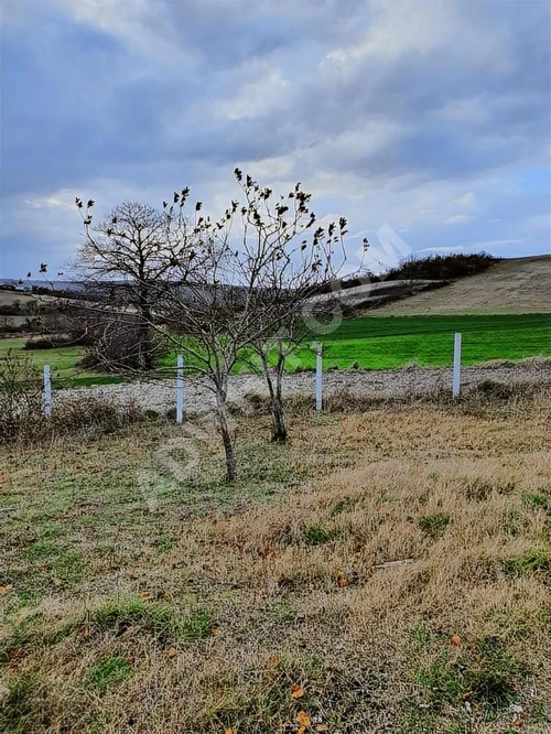 YTG'DEN ÇATALCA' DA SATILIK TEK TAPU 2552 m2 ARAZİ