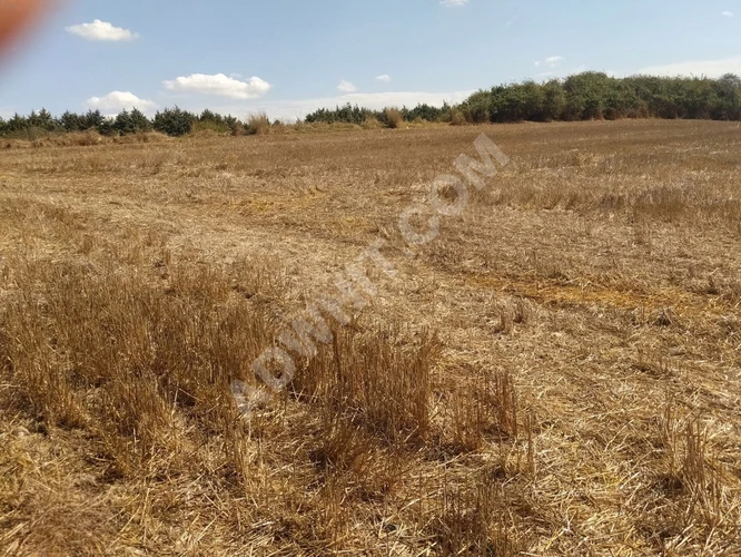 KABAKÇADA KARAVAN PARKI KARŞISI,CADDE ÜSTÜ, ELKTRİK SU, 21.600M2