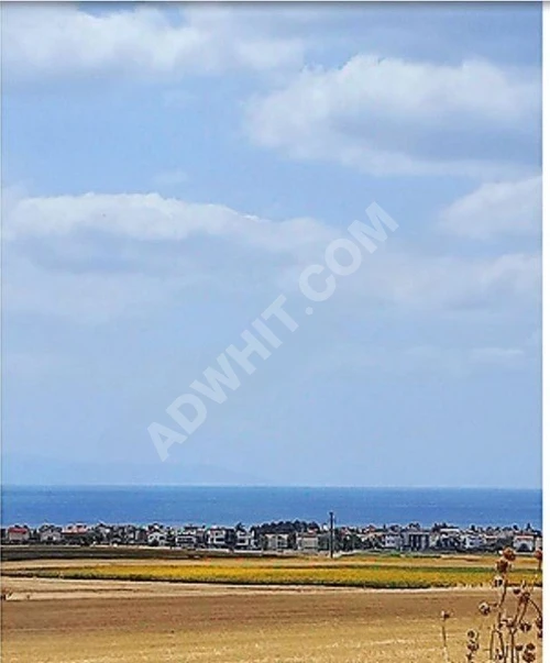 MARMARA EREĞLİSİ ÇEŞME MH YATIRIMLIK UYGUN FİYATA TARLA