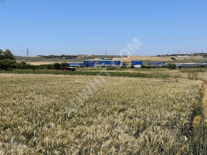 DEĞİRMENKÖYDE SANAYİYE YAKIN TEK TAPU FIRSAT ARAZİ 1270 M2