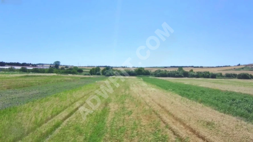 Silivri Seymen'de 4.000 m² Genişliğinde, Yola Cepheli Dev Tarla