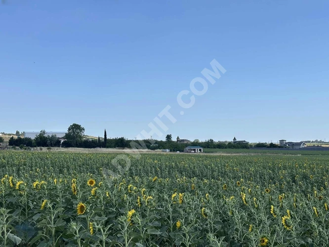 SİLİVRİ FENERKÖYDE TEK TAPU UYGUN FİYAT 17800 METREKARE