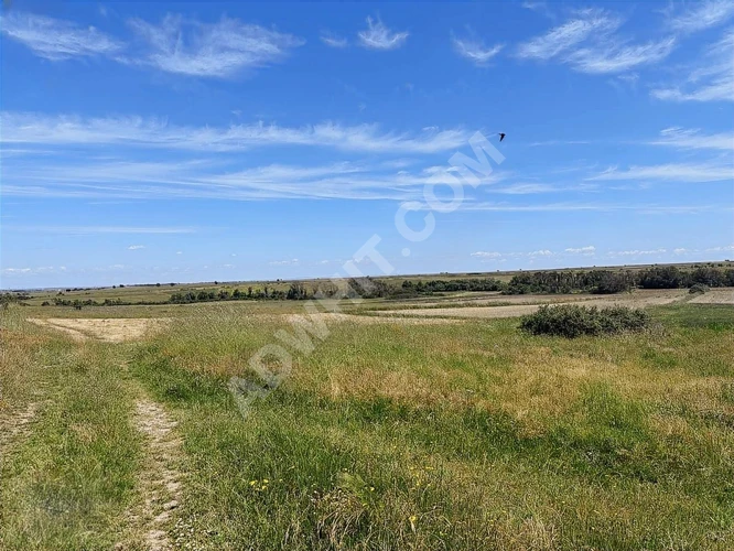 HAYRABOLU LAHANA KÖYÜNDE MÜSTAKİL TEK TAPULU SATILIK TARLA