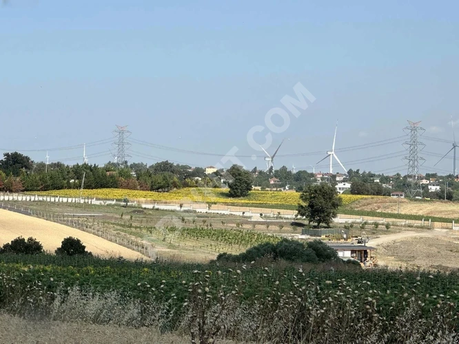 SİLİVRİ SEYMEN TEK TAPU UYGUN FİYAT YOL CEPHE KÖYE YAKIN 8300 M2