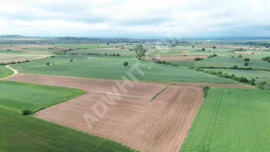 KIRKLARELİ KAYALI KÖYÜ HİSSELİ ARAZİ