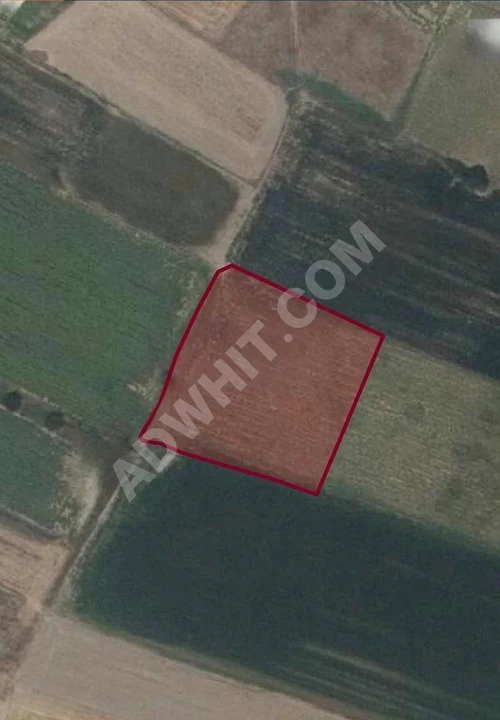 KIRKLARELİ İNECE DE 4040 M2 TARLA