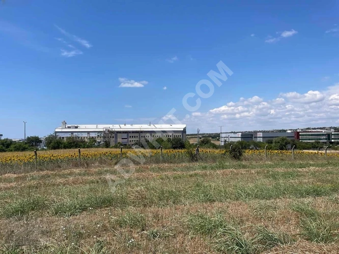 SİLİVRİ ORTAKÖYDE YOLA YAKIN