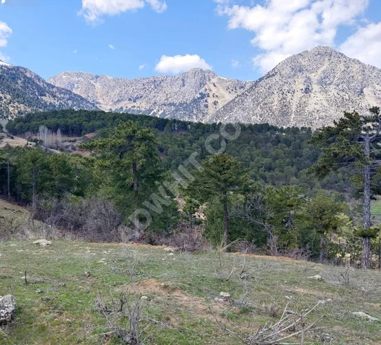 MARAŞ EMLAKTAN TEKİR DE SATILIK 6390 M2 ARAZİ