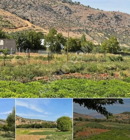 MARAŞ EMLAKTAN ONİKİŞUBAT ALTINOVA DA SATILIK TARLA