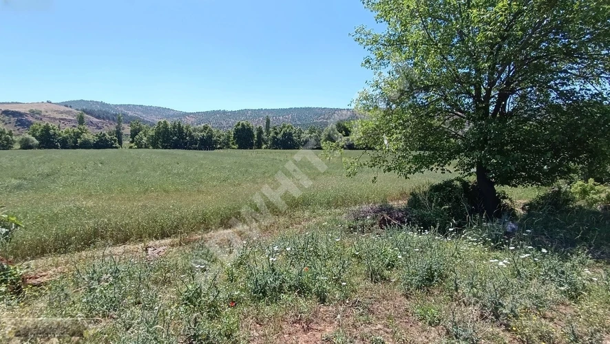 MARAŞ EMLAKTAN ALTINOVA DA SATILIK TAPULU 1500 METRE KARE TARLA