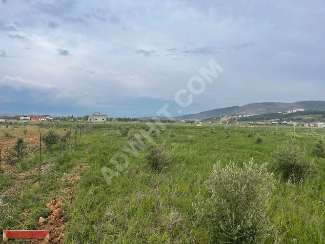 MARAŞ EMLAKTAN ALTINOVA MAH.SATILIK 9 DÖNÜM TAPUSUZ ARAZİ