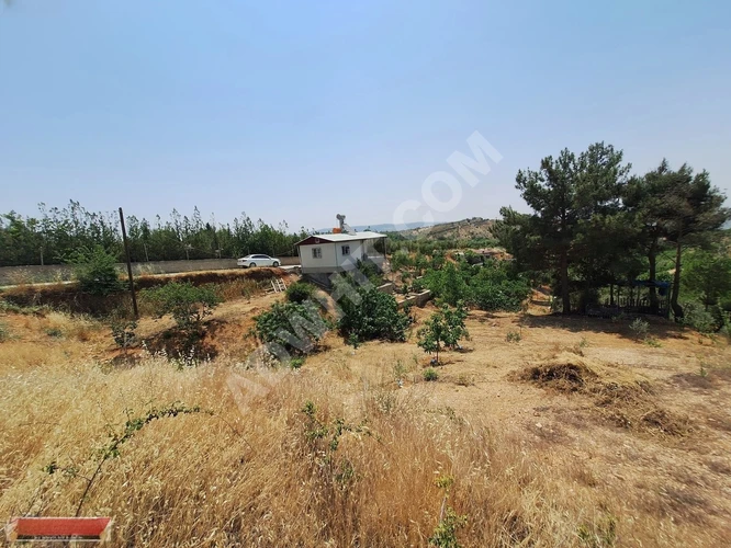 MARAŞ EMLAKTAN YUSUF HACILI DA SATILIK 1 DÖNÜM BAĞ