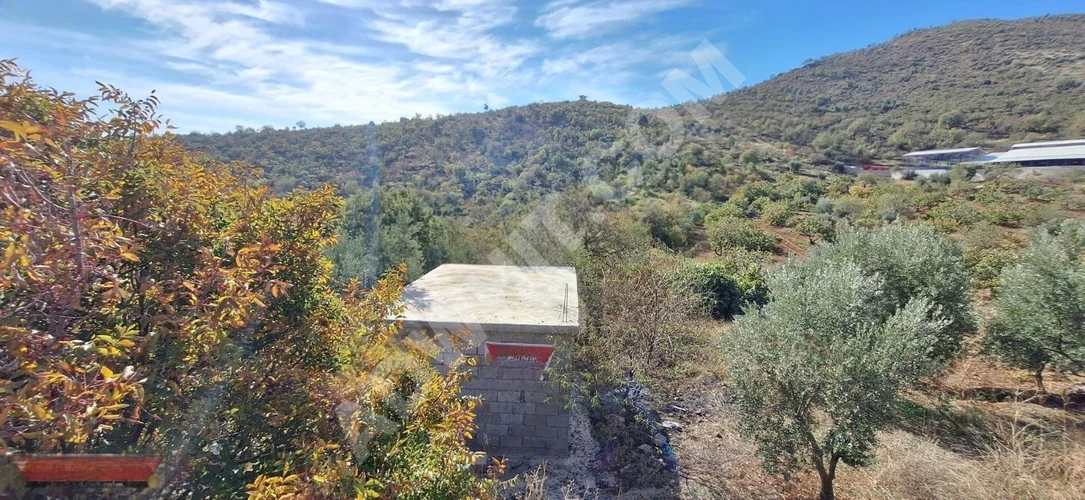 MARAŞ EMLAKTAN ANA YOL KENARI UZUNSÖĞÜT DE SATILIK 5 DÖNÜM BAĞ