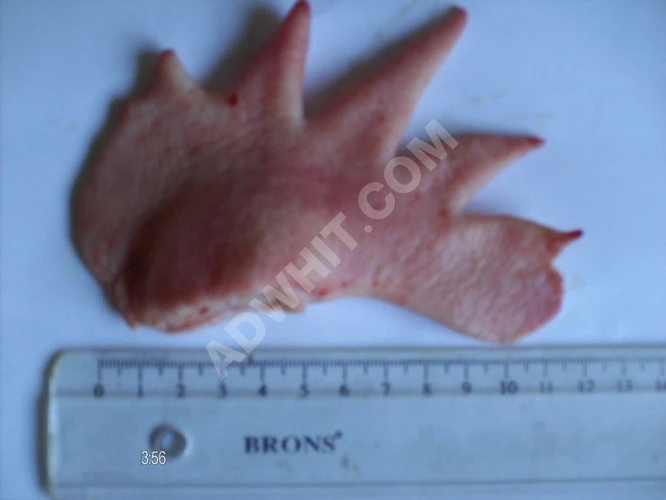 Türkiye'den horoz ibiği satışı