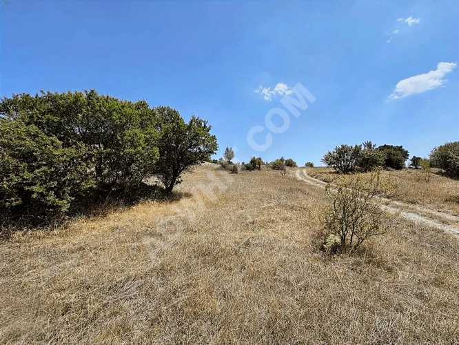 BOLU KIBRISCIK SARIKAYA'DA 8.370 M2 UYGUN ARSA