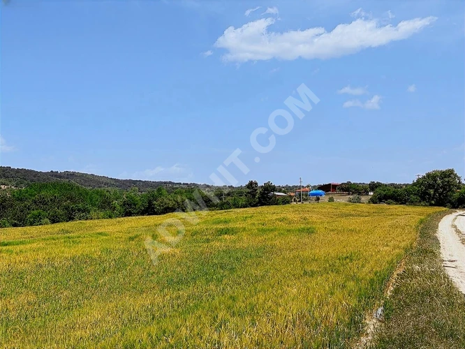 BOLU GÖYNÜK'TE KÖYÜN GİRİNŞİNDE 10.436 M2 UYGUN ARSA