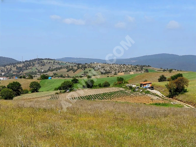 BURSA BÜYÜKORHAN KINIK'TA 4.540 M2 UYGUN ARSA