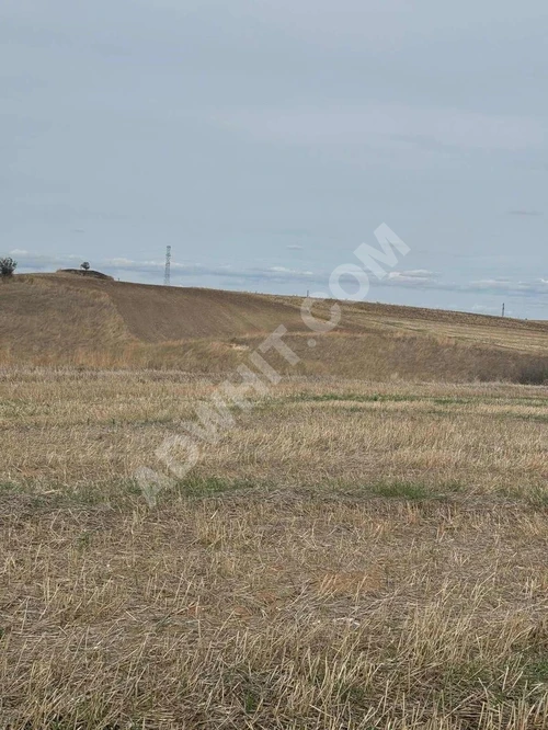 Edirne tayakadın 20 dönüm arazi