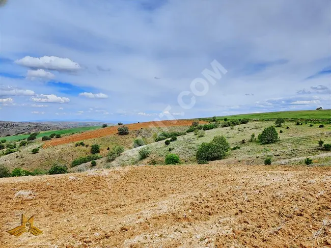 A land area of 8676 square meters for only 360,000 Turkish lira in Kırıkkale, Eroğlu neighborhood