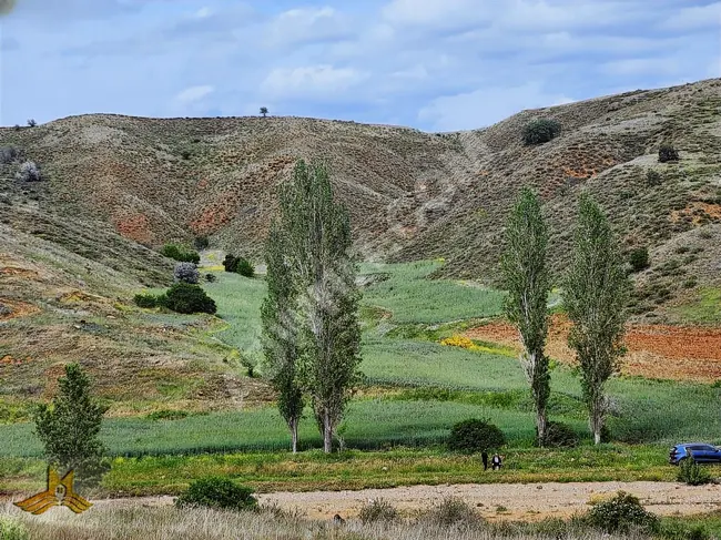 A 1401 square meter agricultural land, providing electricity, water, and access in KIRIKKALE KESKİN EROĞLU MAH