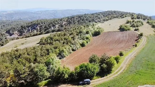 Agricultural land directly on the road, considered an oxygen reservoir with an area of 6275 m² in Bolu, Göynük district, Kızıl Koyu locality